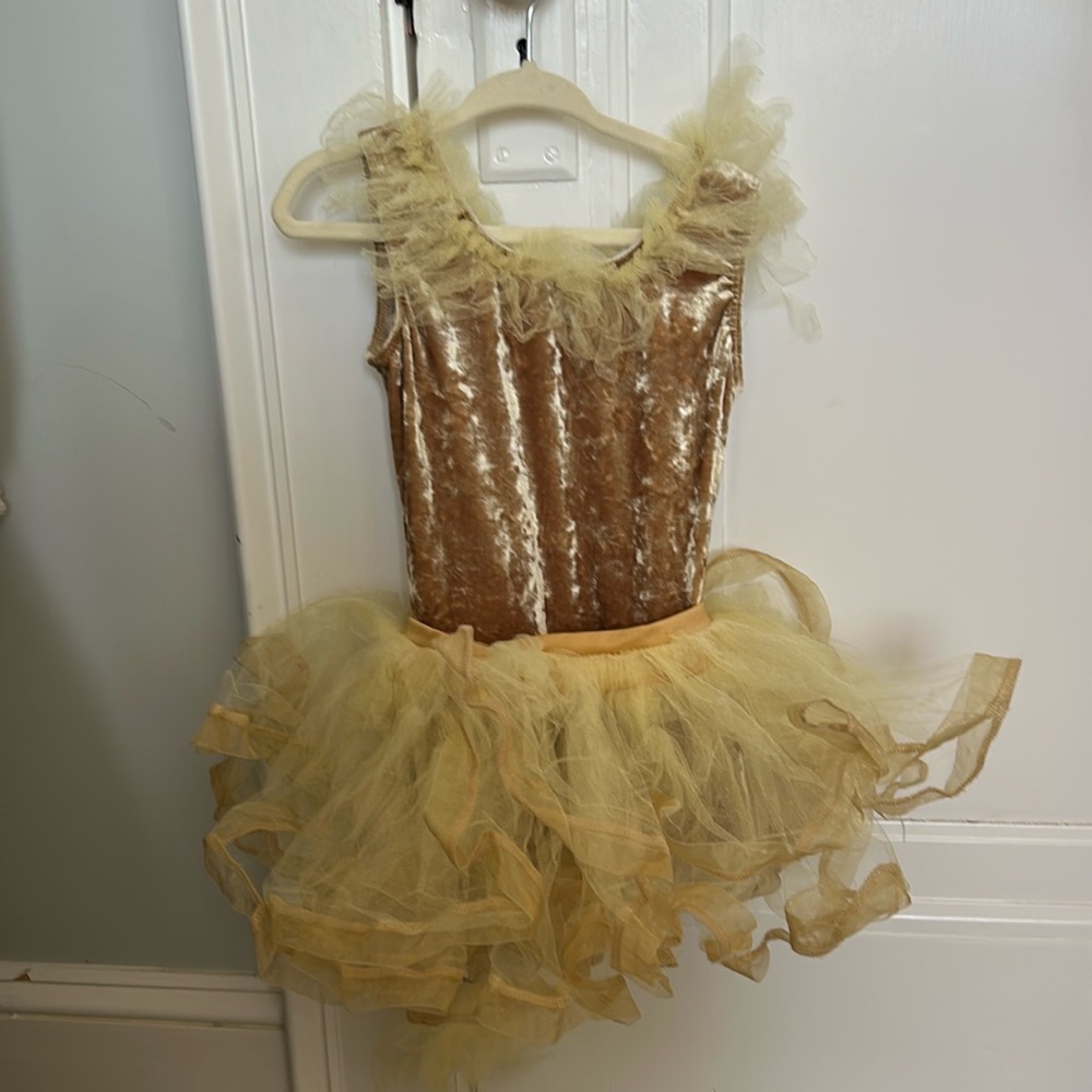 Lion leotard dance costume